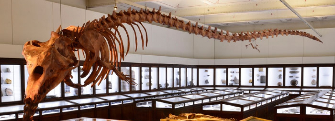 Bon plan: Visitez gratuitement les musÃ©es nantais !