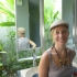 delphine