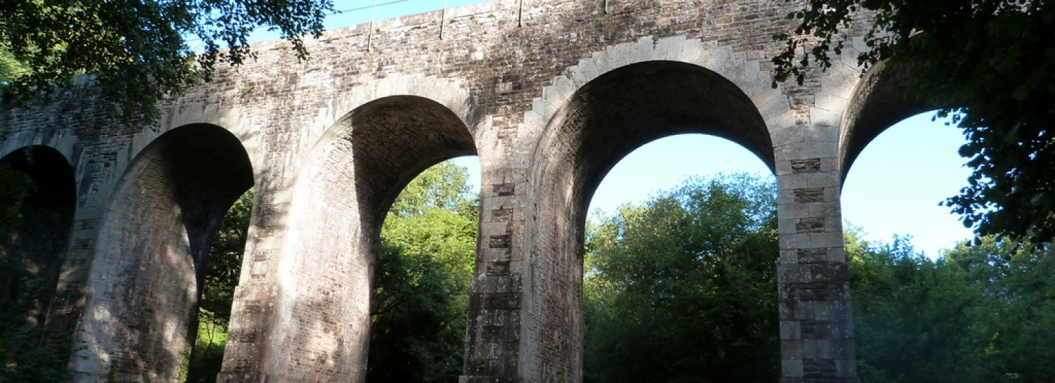 Rando des Arcades à Nort-sur-Erdre🥾