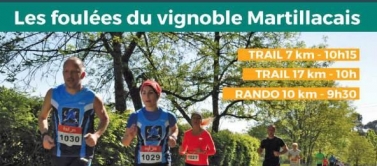 RANDONNEE 10 KM DANS LES VIGNES