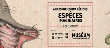 Expo: Anatomie comparée des espèces imaginaires