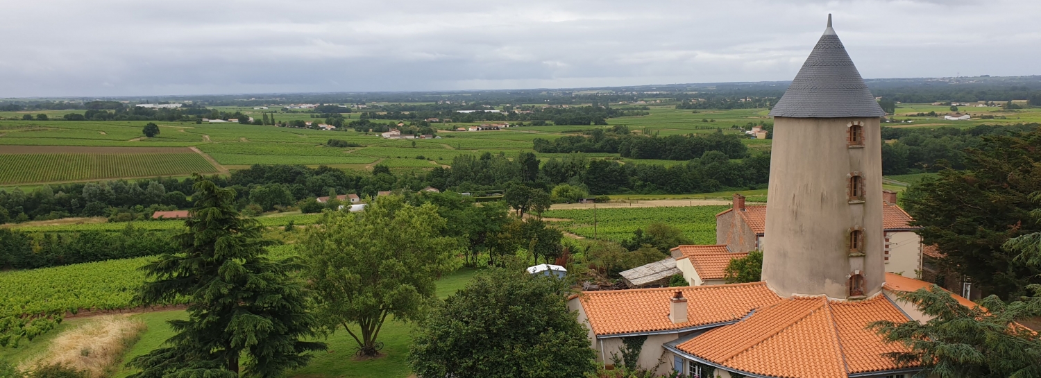 La balade du dimanche après tempête