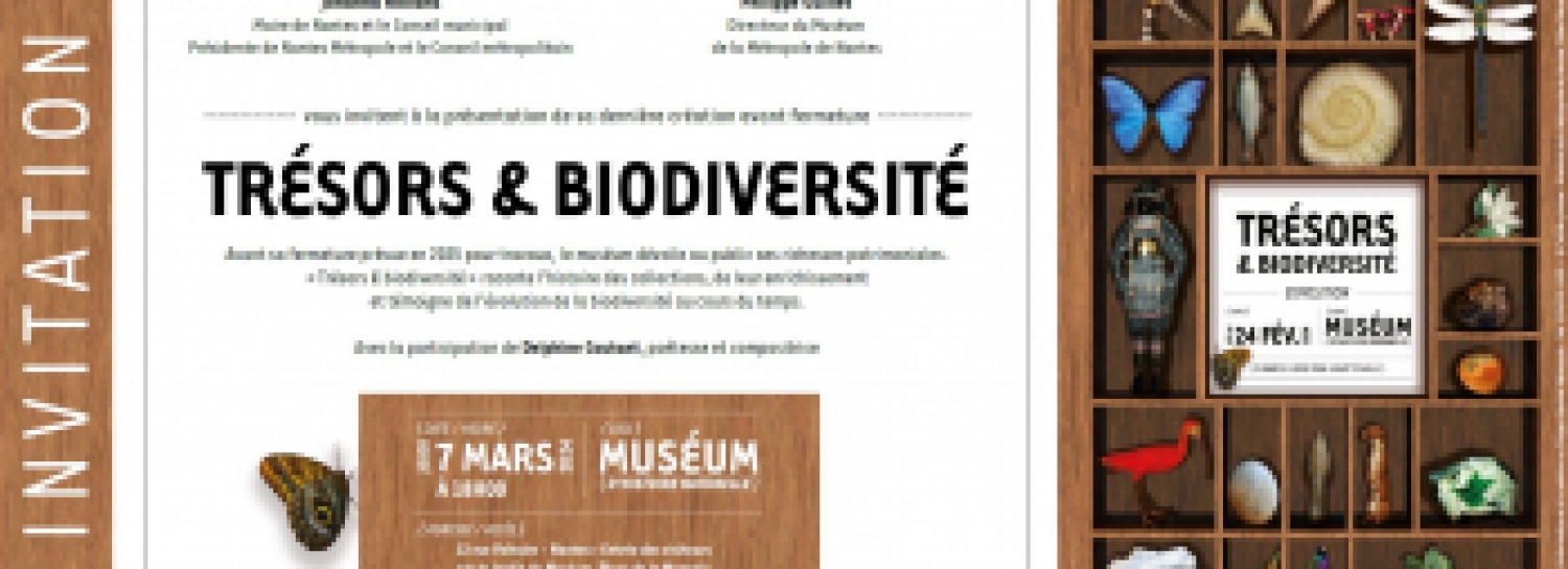 Expo Muséum d'histoires Naturelles