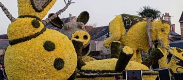 Fête des jonquilles 