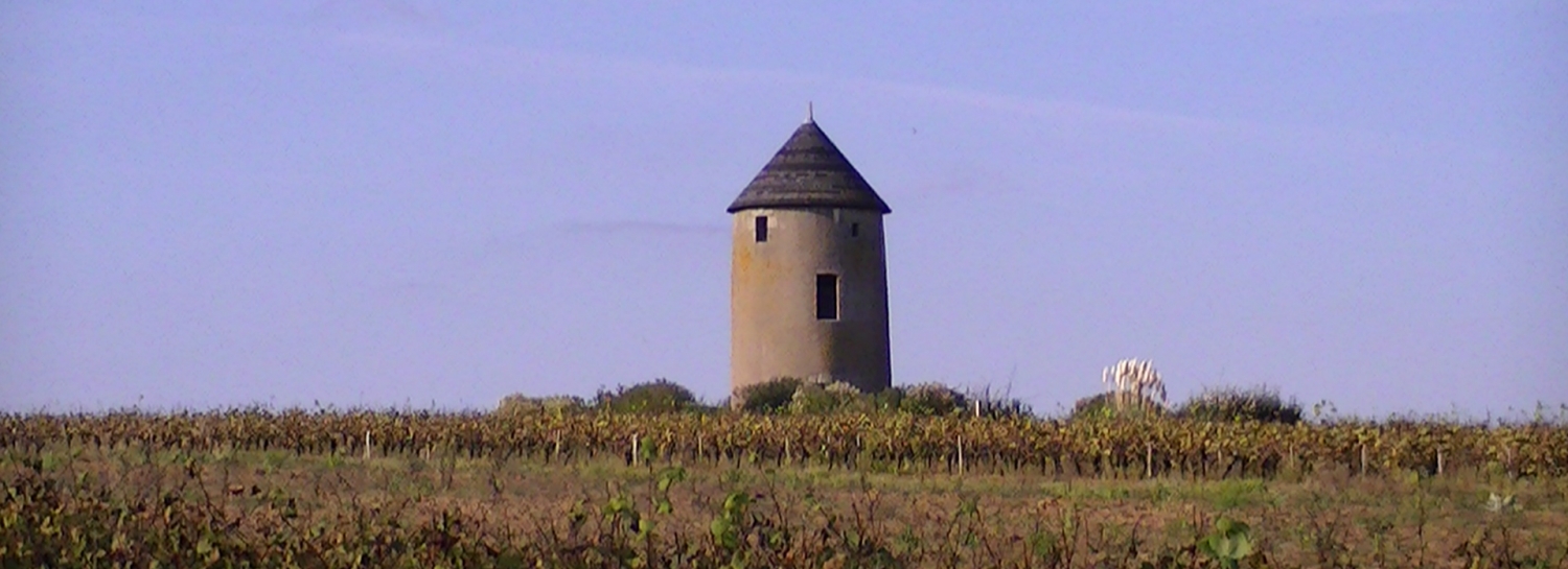 Balade Monnières (dernière minute)