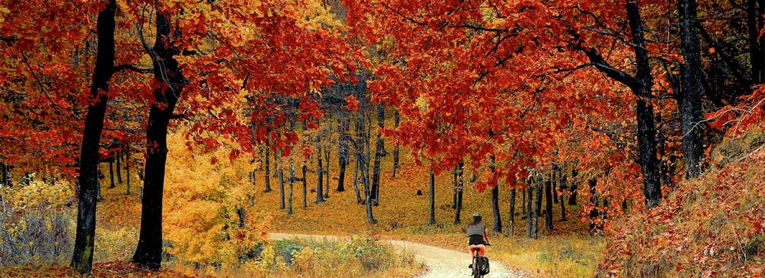 🍂Le vendredi automnale au Carquefood 🍷 