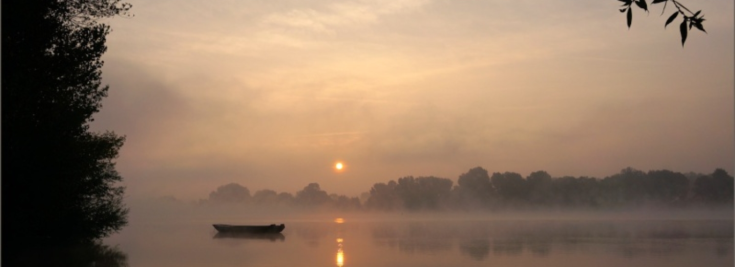 Balade photo en bord de Loire🥾