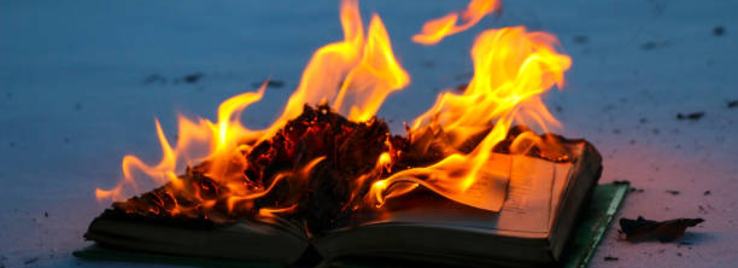 2025, c'est cramée !🔥