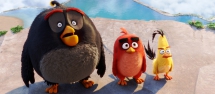 Angry Birds 3D avp @ UGC