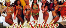 Gala fin d'année des danseuses samba - capoeira