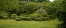 Jardin en Mouvement