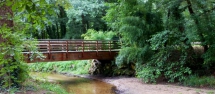 Marche sportive – Forêt de Canéjan