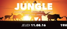 Soirée Jungle à la centrale