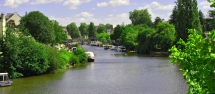 Croisière promenade sur l'Erdre