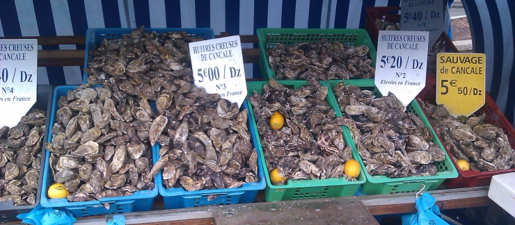 huîtres et muscadet a prix coûtant 