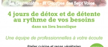 Stage detox et bien-être