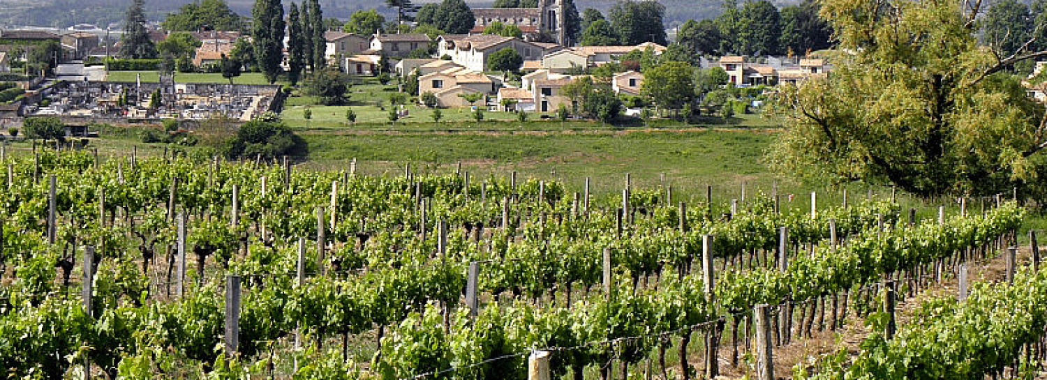 Vin Musique Histoire à St Croix du Mont