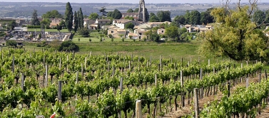 Vin Musique Histoire à St Croix du Mont