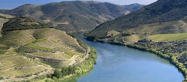 QU'EST-CE QUE LE VIN DE PORTO ?