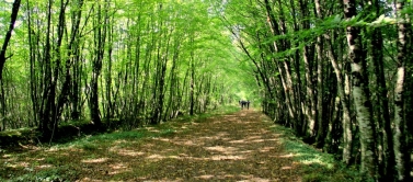 Marche tonique de  9 kms  le long de L Erdre 