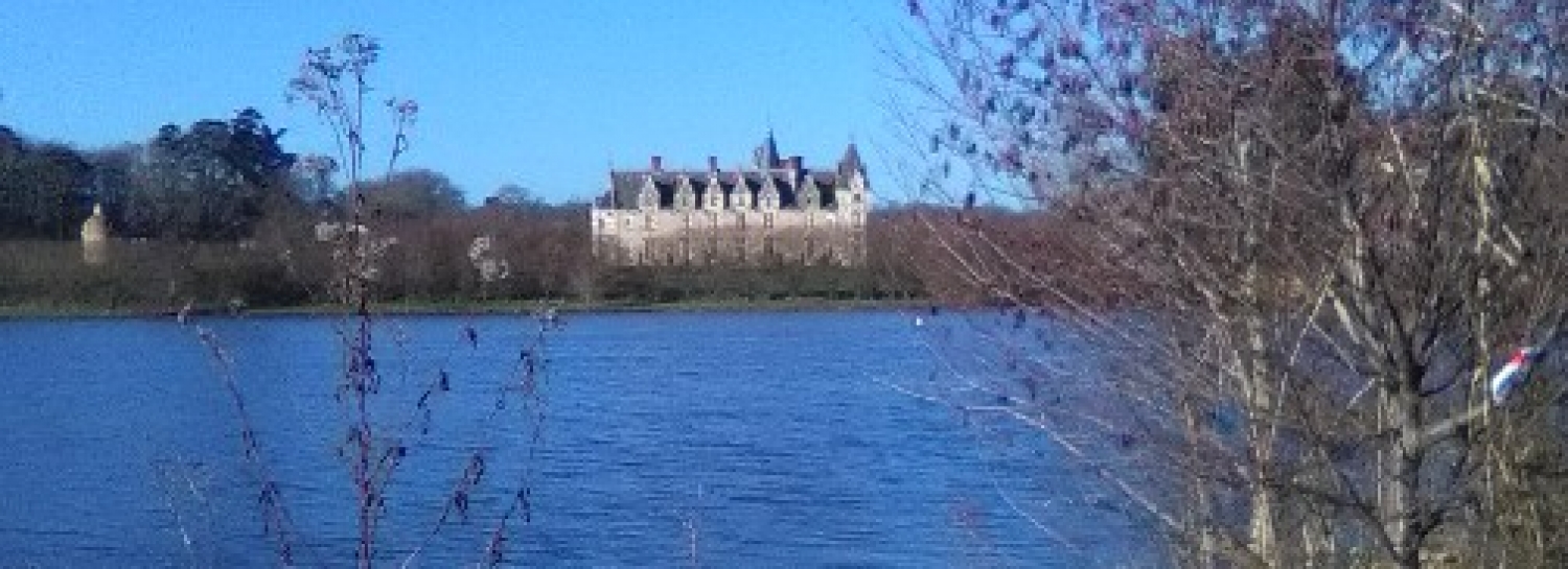 Marche tonique de  9 kms  le long de L Erdre 