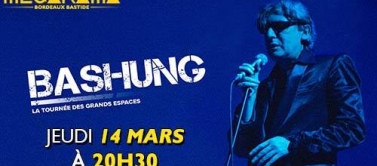 Bashung la tournée des grands espaces