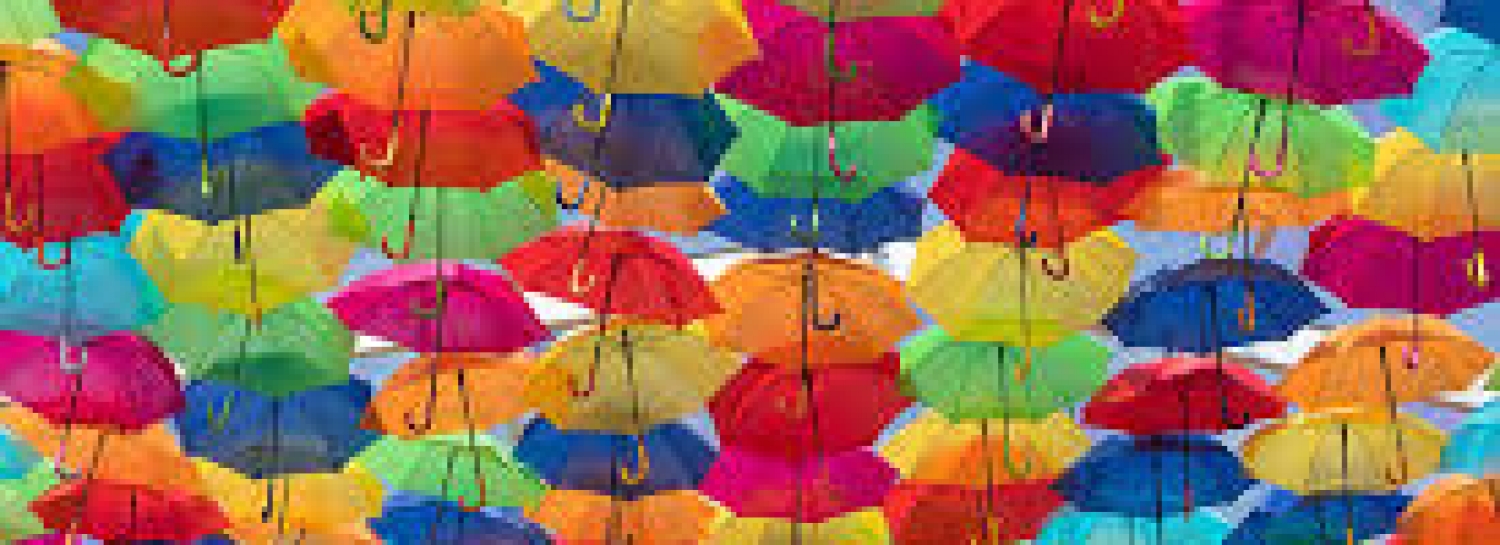 La sortie des parapluies (sortie selfie) !!!