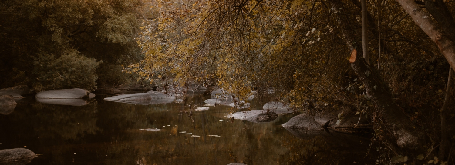 Ballade Automnale à Clisson.