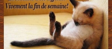 Fin de semaine déténte