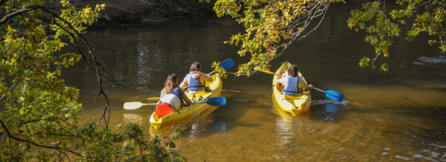 sortie canoë sur la leyre