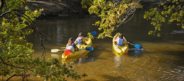 sortie canoë sur la leyre