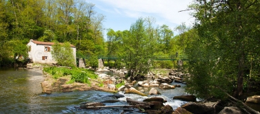 Rando Pique-Nique 14kms Maisdon sur Sevre/Aigrefeuille sur Maine