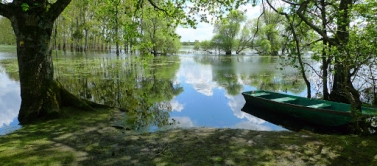 Ballade de 7 km dans le marais de Goulaine