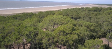 Randonnée à Saint Brévin les pins et L'océan