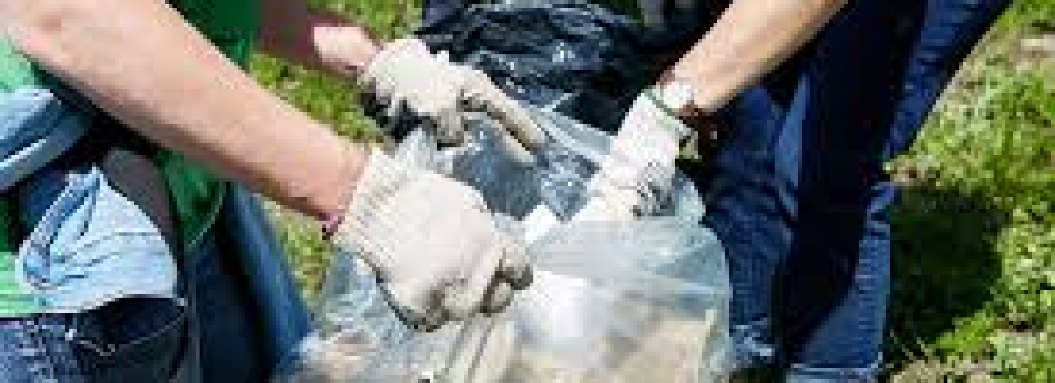Cleanup quartier chantenay