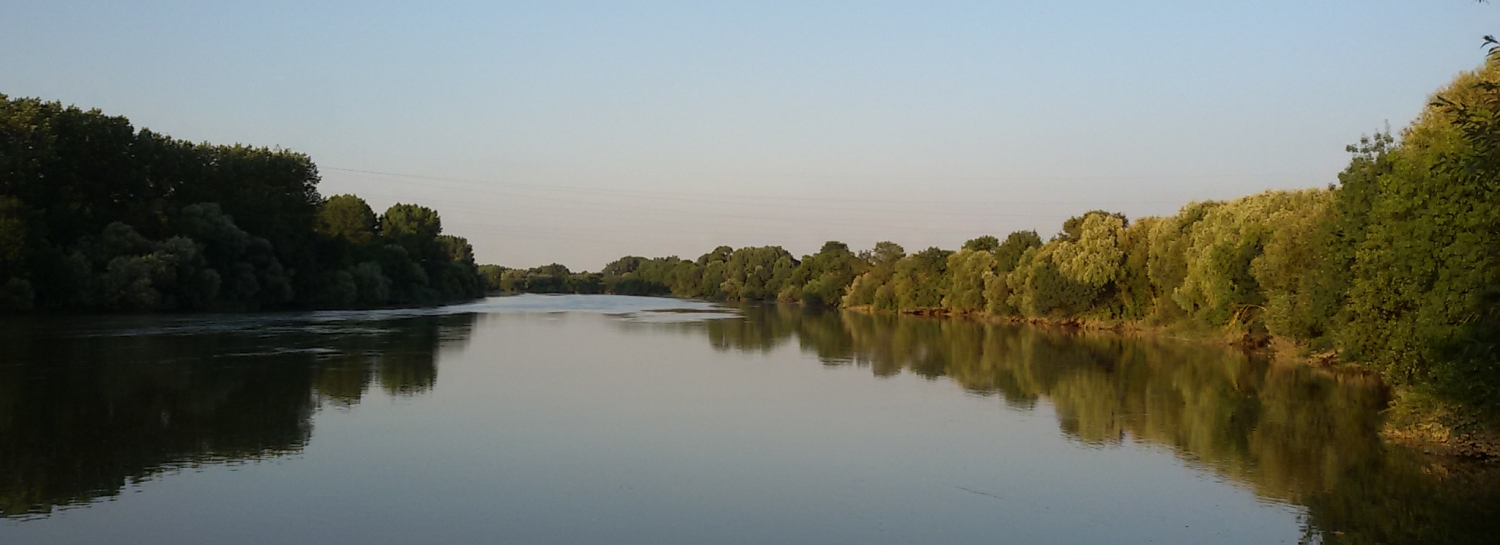 Courir, bords de l'erdre