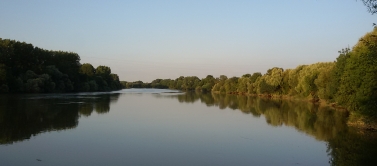 Courir, bords de l'erdre