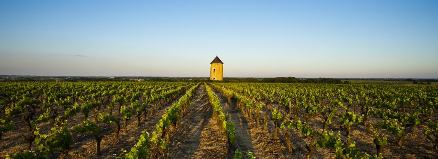 Balade Monnière
