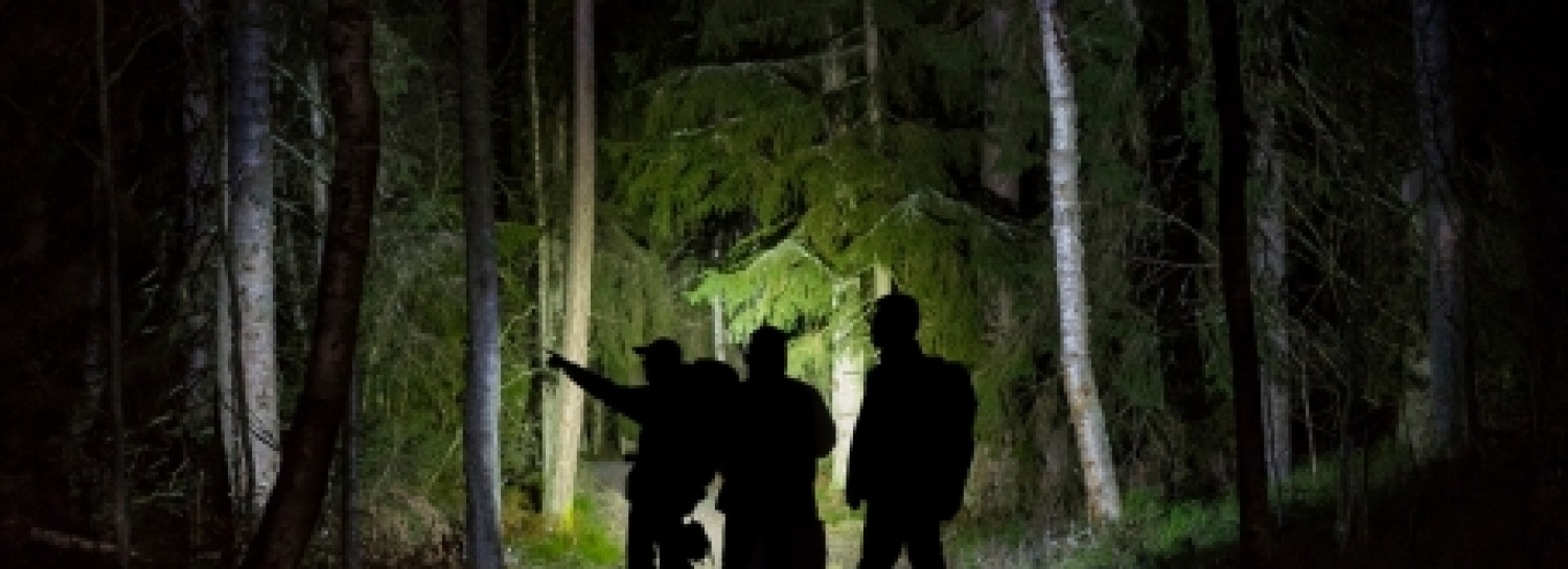 Rando nocturne à Monnières