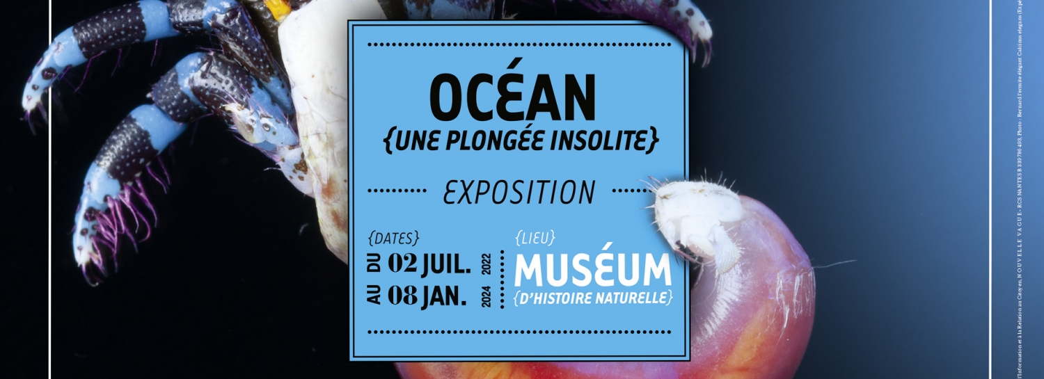 Expo : Océan  Une plongée insolite