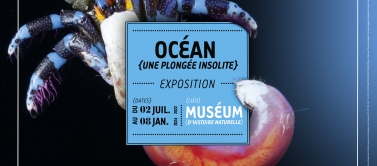 Expo : Océan  Une plongée insolite