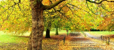 Fêtons l'Automne au Plessis.